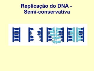 Splicing alternativo do RNA
 