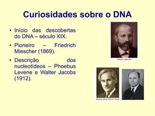 Curiosidades sobre o DNA
● Início das descobertas
do DNA – século XIX.
● Pioneiro – Friedrich
Miescher (1869).
● Descrição...