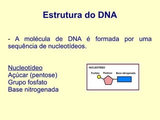 Estrutura do DNA
- A molécula de DNA é formada por uma
sequência de nucleotídeos.
Nucleotídeo
Açúcar (pentose)
Grupo fosfa...
