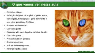 O que vamos ver nessa aula
• Conceitos básicos
• Definição de:gene, lócus gênico, genes alelos,
homozigoto, heterozigoto, gene dominante e
recessivo, genótipo e fenótipo
• Primeira lei de Mendel
• Exercícios parte 1
• Casos que vão além da primeira lei de Mendel
• Exercícios parte 2
• Probabilidade em genética
• Grupos sanguíneos
• Análise de heredogramas
• Herança ligada ao sexo
 