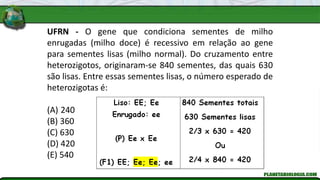 UFRN - O gene que condiciona sementes de milho
enrugadas (milho doce) é recessivo em relação ao gene
para sementes lisas (milho normal). Do cruzamento entre
heterozigotos, originaram-se 840 sementes, das quais 630
são lisas. Entre essas sementes lisas, o número esperado de
heterozigotas é:
(A) 240
(B) 360
(C) 630
(D) 420
(E) 540
 