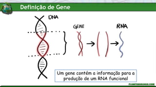 Um gene contém a informação para a
produção de um RNA funcional
Definição de Gene
 