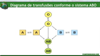 Diagrama de transfusões conforme o sistema ABO
 
