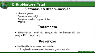 Sintomas no Recém-nascido
• Anemia grave;
• Doenças neurológicas;
• Doenças cardio-respiratórias;
• Morte.
Tratamento
• Substituição total do sangue do recém-nascido por
sangue Rh- compatível;
Prevenção
• Realização de exames pré-natais.
• Utilização de soro específico no organismo materno.
Eritroblastose Fetal
 