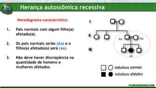 Heredograma característico
1. Pais normais com algum filho(a)
afetado(a).
2. Os pais normais serão (Aa) e o
filho(a) afetado(a) será (aa).
3. Não deve haver discrepância na
quantidade de homens e
mulheres afetados.
Herança autossômica recessiva
 