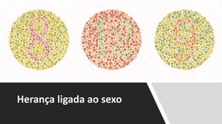Herança ligada ao sexo
 