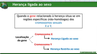 Quando o gene relacionado à herança situa-se em
regiões específicas (não-homólogas) dos
cromossomos sexuais
X e Y.
Cromossomo X
Herança Ligada ao sexo
Cromossomo Y
Herança Restrita ao sexo
Localização
do gene
Herança ligada ao sexo
 
