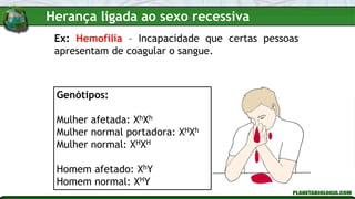 Ex: Hemofilia – Incapacidade que certas pessoas
apresentam de coagular o sangue.
Genótipos:
Mulher afetada: XhXh
Mulher normal portadora: XHXh
Mulher normal: XHXH
Homem afetado: XhY
Homem normal: XHY
Herança ligada ao sexo recessiva
 