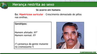Só ocorre em homens
Genótipos:
Homem afetado: XY*
Homem normal: XY
(*) presença do gente mutante
no cromossomo Y.
Ex: Hipetricose auricular – Crescimento demasiado de pêlos
nas orelhas.
Herança restrita ao sexo
 