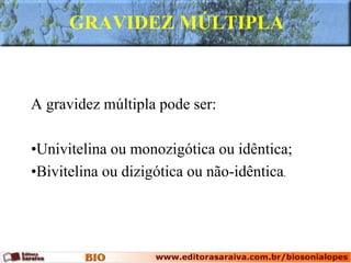 GRAVIDEZ MÚLTIPLA
A gravidez múltipla pode ser:
•Univitelina ou monozigótica ou idêntica;
•Bivitelina ou dizigótica ou não-idêntica.
 