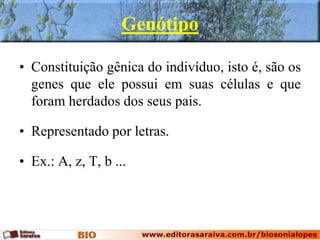 Genótipo
• Constituição gênica do indivíduo, isto é, são os
genes que ele possui em suas células e que
foram herdados dos seus pais.
• Representado por letras.
• Ex.: A, z, T, b ...
 