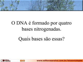 O DNA é formado por quatro
bases nitrogenadas.
Quais bases são essas?
 