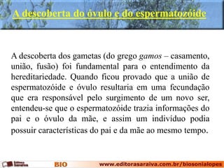 A descoberta do óvulo e do espermatozóide
A descoberta dos gametas (do grego gamos – casamento,
união, fusão) foi fundamental para o entendimento da
hereditariedade. Quando ficou provado que a união de
espermatozóide e óvulo resultaria em uma fecundação
que era responsável pelo surgimento de um novo ser,
entendeu-se que o espermatozóide trazia informações do
pai e o óvulo da mãe, e assim um indivíduo podia
possuir características do pai e da mãe ao mesmo tempo.
 