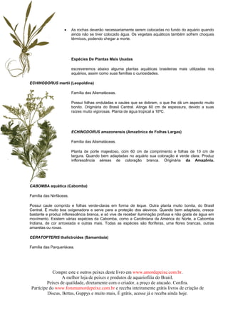 •     As rochas deverão necessariamente serem colocadas no fundo do aquário quando
                         ainda não se tiver colocado água. Os vegetais aquáticos também sofrem choques
                         térmicos, podendo chegar a morte.




                         Espécies De Plantas Mais Usadas

                         escreveremos abaixo alguma plantas aquáticas brasileiras mais utilizadas nos
                         aquários, assim como suas famílias o curiosidades.

ECHINODORUS martii (Leopoldina)

                         Família das Alismatáceas.

                         Possui folhas onduladas e caules que se dobram, o que lhe dá um aspecto muito
                         bonito. Originária do Brasil Central. Atinge 60 cm de espessura, devido a suas
                         raízes muito vigorosas. Planta de água tropical a 18ºC.




                         ECHINODORUS amazonensis (Amazônica de Folhas Largas)

                         Família das Alismatáceas.

                         Planta de porte majestoso, com 60 cm de comprimento e folhas de 10 cm de
                         largura. Quando bem adaptadas no aquário sua coloração é verde clara. Produz
                         inflorescência aéreas de coloração branca. Originária da Amazônia.




CABOMBA aquática (Cabomba)

Família das Ninfáceas.

Possui caule comprido e folhas verde-claras em forma de leque. Outra planta muito bonita, do Brasil
Central. É muito boa oxigenadora e serve para a proteção dos alevinos. Quando bem adaptada, cresce
bastante e produz inflorescência branca, e só vive de receber iluminação profusa e não gosta de água em
movimento. Existem várias espécies da Cabomba, como a Caroliniana da América do Norte, a Cabomba
Indiana, de cor arroxeada e outras mais. Todas as espécies são floríferas, uma flores brancas, outras
amarelas ou roxas.

CERATOPTERIS thalictroides (Samambaia)

Família das Parqueriácea.




             Compre este e outros peixes deste livro em www.amordepeixe.com.br.
                  A melhor loja de peixes e produtos de aquariofilia do Brasil.
          Peixes de qualidade, diretamente com o criador, a preço de atacado. Confira.
 Participe do www.forumamordepeixe.com.br e receba inteiramente grátis livros de criação de
          Discus, Bettas, Guppys e muito mais, É grátis, acesse já e receba ainda hoje.
 