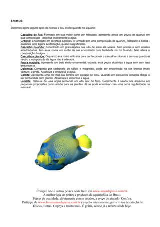 EFEITOS:

Daremos agora alguns tipos de rochas e seu efeito quando no aquário.

       Cascalho de Rio: Formado em sua maior parte por feldspato, apresenta ainda um pouco de quartzo em
       sua composição - acidifica ligeiramente a água.
       Granito: Encontrado em diversos padrões, é formado por uma composição de quartzo, feldspato e biotita -
       ocasiona uma ligeira acidificação, quase insignificante.
       Cascalho Guandu: Encontrado em granulações que vão de areia até seixos. Sem pontas e com arestas
       arredondadas, tem esse nome em razão de ser encontrado com facilidade no rio Guandu. Não altera a
       composição da água.
       Cascalho colorido: O quartzo é a rocha utilizada para confeccionar o cascalho colorido e como o quartzo é
       neutro a composição da água não é alterada.
       Pedra madeira: Apresenta um belo efeito ornamental, todavia, esta pedra alcaliniza a água sem com isso
       endurece-la.
       Dolomita: Composta por carbonato de cálcio e magnésio, pode ser encontrada na cor branca (mais
       comum) e preta. Alcaliniza e endurece a água.
       Calcita: Apresenta uma cor mel que lembra um pedaço de breu. Quando em pequenos pedaços chega a
       ser confundida com granito. Alcaliniza e endurece a água.
       Laterita: Trata-se de uma argila contendo um alto teor de ferro. Geralmente é usado nos aquários em
       pequenas proporções como adubo para as plantas. Já se pode encontrar com uma certa regularidade no
       mercado.




                    Compre este e outros peixes deste livro em www.amordepeixe.com.br.
                         A melhor loja de peixes e produtos de aquariofilia do Brasil.
                 Peixes de qualidade, diretamente com o criador, a preço de atacado. Confira.
        Participe do www.forumamordepeixe.com.br e receba inteiramente grátis livros de criação de
                 Discus, Bettas, Guppys e muito mais, É grátis, acesse já e receba ainda hoje.
 