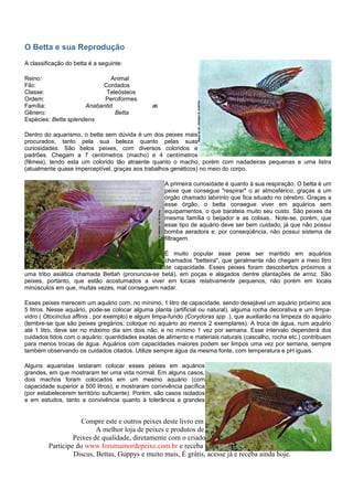 O Betta e sua Reprodução
A classificação do betta é a seguinte:

Reino:                         Animal
Filo:                      Cordados
Classe:                     Teleósteos
Ordem:                      Perciformes
Família:              Anabantid                 æ
Gênero:                         Betta
Espécies: Betta splendens

Dentro do aquarismo, o betta sem dúvida é um dos peixes mais
procurados, tanto pela sua beleza quanto pelas suas
curiosidades. São belos peixes, com diversos coloridos e
padrões. Chegam a 7 centímetros (macho) e 4 centímetros
(fêmea), tendo esta um colorido tão atraente quanto o macho, porém com nadadeiras pequenas e uma listra
(atualmente quase imperceptível, graças aos trabalhos genéticos) no meio do corpo.

                                                     A primeira curiosidade é quanto à sua respiração. O betta é um
                                                     peixe que consegue "respirar" o ar atmosférico, graças a um
                                                     órgão chamado labirinto que fica situado no cérebro. Graças a
                                                     esse órgão, o betta consegue viver em aquários sem
                                                     equipamentos, o que barateia muito seu custo. São peixes da
                                                     mesma família o beijador e as colisas.. Note-se, porém, que
                                                     esse tipo de aquário deve ser bem cuidado, já que não possui
                                                     bomba aeradora e, por conseqüência, não possui sistema de
                                                     filtragem.

                                                 É muito popular esse peixe ser mantido em aquários
                                                 chamados "betteira", que geralmente não chegam a meio litro
                                                 de capacidade. Esses peixes foram descobertos próximos a
uma tribo asiática chamada Bettah (pronuncia-se betá), em poças e alagados dentre plantações de arroz. São
peixes, portanto, que estão acostumados a viver em locais relativamente pequenos, não porém em locais
minúsculos em que, muitas vezes, mal conseguem nadar.

Esses peixes merecem um aquário com, no mínimo, 1 litro de capacidade, sendo desejável um aquário próximo aos
5 litros. Nesse aquário, pode-se colocar alguma planta (artificial ou natural), alguma rocha decorativa e um limpa-
vidro ( Otocinclus affinis , por exemplo) e algum limpa-fundo (Corydoras spp .), que auxiliarão na limpeza do aquário
(lembre-se que são peixes gregários: coloque no aquário ao menos 2 exemplares). A troca de água, num aquário
até 1 litro, deve ser no máximo dia sim dois não, e no mínimo 1 vez por semana. Esse intervalo dependerá dos
cuidados tidos com o aquário: quantidades exatas de alimento e materiais naturais (cascalho, rocha etc.) contribuem
para menos trocas de água. Aquários com capacidades maiores podem ser limpos uma vez por semana, sempre
também observando os cuidados citados. Utilize sempre água da mesma fonte, com temperatura e pH iguais.

Alguns aquaristas testaram colocar esses peixes em aquários
grandes, em que mostraram ter uma vida normal. Em alguns casos,
dois machos foram colocados em um mesmo aquário (com
capacidade superior a 500 litros), e mostraram convivência pacífica
(por estabelecerem território suficiente). Porém, são casos isolados
e em estudos, tanto a convivência quanto à tolerância a grandes


                     Compre este e outros peixes deste livro em www.amordepeixe.com.br.
                          A melhor loja de peixes e produtos de aquariofilia do Brasil.
                  Peixes de qualidade, diretamente com o criador, a preço de atacado. Confira.
         Participe do www.forumamordepeixe.com.br e receba inteiramente grátis livros de criação de
                  Discus, Bettas, Guppys e muito mais, É grátis, acesse já e receba ainda hoje.
 