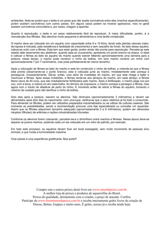 ambientes. Note-se porém que o betta é um peixe que não aceita convivência entre eles (machos especificamente),
porém aceitam convivência com outros peixes. Em alguns casos podem se mostrar agressivos, mas no geral
aceitam convivência comunitária e, por vezes, chegam a apanhar.

Quanto à reprodução, o betta é um peixe relativamente fácil de reproduzir. A maior dificuldade, porém, é a
manutenção dos filhotes. São alevinos muito pequenos e alimentá-los e uma tarefa complicada.

O macho deve ser colocado em um aquário com capacidade entre 8 e 15 litros, tendo este plantas naturais (rabo-
de-raposa é indicada, pela resistência e facilidade de crescimento) e sem cascalho de fundo. Ao lado desse aquário,
coloca-se outro com a fêmea. Esta tem que estar gorda, porém ainda não pronta para reprodução. Percebe-se este
estado dela observando seu abdômen: quando apta ao cruzamento, apresenta um ponto branco na cloaca. O ideal
é colocar a fêmea ao lado do aquário do macho quando estiver faltando aproximadamente uma semana para a
postura: nesse tempo, o macho pode construir o ninho de bolhas. Um bom macho constrói um ninho com
aproximadamente 7 por 7 centímetros, mas pode perfeitamente ter menor tamanho.

Após a colocação da fêmea ao lado do macho e este ter construído o ninho de bolhas, e notando-se que a fêmea
está pronta (observando-se o ponto branco), esta é colocada junto ao macho. Imediatamente este começa a
persegui-la, incessantemente. Dá-se, então, uma série de investidas do macho, em que este chega a bater e
machucar a fêmea. Após essas investidas, a fêmea rende-se aos abraços do macho; em cada abraço, a fêmea
libera cerca de 40 ovos, que são imediatamente fertilizados pelo macho. Após a fertilização, o macho pega ovo por
ovo, com a boca, e coloca um em cada bolha. Ao término da ovipostura, o macho começa a perseguir a fêmea, mas
agora com o intuito de afastá-la de perto do ninho. É momento então de retirar a fêmea do aquário, tomando o
máximo de cuidado para não danificar o ninho de bolhas.

Dois dias após a postura, nascem os alevinos. São diminutos (aproximadamente 3 milímetros) e devem ser
alimentados após dois dias do nascimento: com uma lupa, verifica-se que o saco vitelínico já foi todo o consumido.
Para alimentar os filhotes, podem ser utilizados preparados industrializados ou se utilizar de culturas caseiras. São
inúmeras as possibilidades, sendo a recomendação procurar uma loja especializada ou consultar um aquarista.
Assim que os filhotes adquirirem tamanho adequado (aproximadamente 5 a 6 milímetros), podem ser oferecidos
náuplios (filhotes) de artêmias e rações industrializadas trituradas.

Conforme os alevinos forem crescendo, perceber-se-á o dimorfismo entre machos e fêmeas. Nessa época deve-se
separar os jovens machos, podendo cada um ser colocado em um vidro de palmito, por exemplo.

Em todo este processo, os aquários devem ficar em local sossegado, sem muito movimento de pessoas e/ou
animais, e que incida a luminosidade matutina.

Criar peixes é uma experiência gratificante. Boa sorte!!!




                     Compre este e outros peixes deste livro em www.amordepeixe.com.br.
                          A melhor loja de peixes e produtos de aquariofilia do Brasil.
                  Peixes de qualidade, diretamente com o criador, a preço de atacado. Confira.
         Participe do www.forumamordepeixe.com.br e receba inteiramente grátis livros de criação de
                  Discus, Bettas, Guppys e muito mais, É grátis, acesse já e receba ainda hoje.
 
