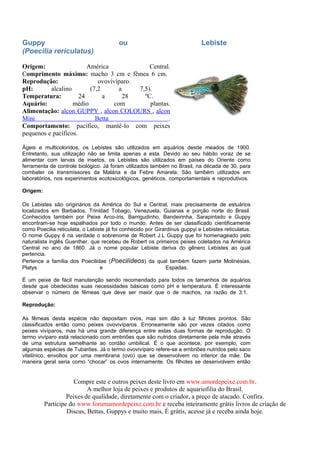 Guppy                                    ou                                 Lebiste
(Poecilia rericulatus)

Origem:                  América              Central.
Comprimento máximo: macho 3 cm e fêmea 6 cm.
Reprodução:                  ovovivíparo.
pH:       alcalino        (7,2      a     7,5).
Temperatura:          24       a      28    ºC.
Aquário:           médio          com         plantas.
Alimentação: alcon GUPPY , alcon COLOURS , alcon
Mini                        Betta                    .
Comportamento: pacífico, mantê-lo com peixes
pequenos e pacíficos.

Ágeis e multicoloridos, os Lebistes são utilizados em aquários desde meados de 1900.
Entretanto, sua utilização não se limita apenas a esta. Devido ao seu hábito voraz de se
alimentar com larvas de insetos, os Lebistes são utilizados em países do Oriente como
ferramenta de controle biológico. Já foram utilizados também no Brasil, na década de 30, para
combater os transmissores da Malária e da Febre Amarela. São também utilizados em
laboratórios, nos experimentos ecotoxicológicos, genéticos, comportamentais e reprodutivos.

Origem:

Os Lebistes são originários da América do Sul e Central, mais precisamente de estuários
localizados em Barbados, Trinidad Tobago, Venezuela, Guianas e porção norte do Brasil.
Conhecidos também por Peixe Arco-íris, Barrigudinho, Bandeirinha, Sarapintado e Guppy
encontram-se hoje espalhados por todo o mundo. Antes de ser classificado cientificamente
como Poecilia reticulata, o Lebiste já foi conhecido por Girardinus guppyi e Lebistes reticulatus.
O nome Guppy é na verdade o sobrenome de Robert J.L Guppy que foi homenageado pelo
naturalista inglês Guenther, que recebeu de Robert os primeiros peixes coletados na América
Central no ano de 1860. Já o nome popular Lebiste deriva do gênero Lebistes ao qual
pertencia.
Pertence a família dos Poecilidae (Poecilídeos) da qual também fazem parte Molinésias,
Platys                           e                            Espadas.

É um peixe de fácil manutenção sendo recomendado para todos os tamanhos de aquários
desde que obedecidas suas necessidades básicas como pH e temperatura. É interessante
observar o número de fêmeas que deve ser maior que o de machos, na razão de 3:1.

Reprodução:

As fêmeas desta espécie não depositam ovos, mas sim dão à luz filhotes prontos. São
classificados então como peixes ovovivíparos. Erroneamente são por vezes citados como
peixes vivíparos, mas há uma grande diferença entre estas duas formas de reprodução. O
termo vivíparo está relacionado com embriões que são nutridos diretamente pela mãe através
de uma estrutura semelhante ao cordão umbilical. É o que acontece, por exemplo, com
algumas espécies de Tubarões. Já o termo ovovivíparo refere-se a embriões nutridos pelo saco
vitelínico, envoltos por uma membrana (ovo) que se desenvolvem no interior da mãe. De
maneira geral seria como “chocar” os ovos internamente. Os filhotes se desenvolvem então


                      Compre este e outros peixes deste livro em www.amordepeixe.com.br.
                           A melhor loja de peixes e produtos de aquariofilia do Brasil.
                   Peixes de qualidade, diretamente com o criador, a preço de atacado. Confira.
          Participe do www.forumamordepeixe.com.br e receba inteiramente grátis livros de criação de
                   Discus, Bettas, Guppys e muito mais, É grátis, acesse já e receba ainda hoje.
 