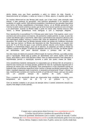 dentro destes ovos que ficam guardados a salvo no interior da mãe. Quando o
desenvolvimento se completa, a casca se rompe e o filhote, alevino, é expelido pela mãe.

Os machos diferenciam-se das fêmeas pela cauda, que é bem maior, pela coloração mais
intensa, e pela presença do gonopódio, uma estrutura semelhante a um pequeno tubo
localizada na região ventral. Esta estrutura possibilita a transferência dos gametas masculinos
para dentro da fêmea, possibilitando a fecundação interna. Já as fêmeas apresentam uma
mancha na parte ventral, próxima a cauda, que se torna mais escura quando os ovos começam
a se desenvolver. Quando os filhotes estão a ponto de nascer esta mancha torna-se mais
“baixa”, a fêmea apresenta-se muito barriguda e com a respiração ofegante.

Para reproduzi-los é aconselhável 3 a 5 fêmeas para cada macho. Esta espécie, assim como
acontece com outros peixes ovovivíparos, não apresenta cuidado parental, ou seja, os pais não
cuidam dos filhotes após o nascimento. Além disso a permanência dos pequenos alevinos junto
com exemplares adultos, inclusive a própria mãe, pode ser desastrosa, já que tendem a ser
devorados. Em função disso as fêmeas grávidas podem ser postas em criadeiras individuais
onde, logo que nascem, os filhotes são separados da mãe. Recomenda-se um aquário com
cerca de 15 a 20 litros de água e que contenha plantas naturais como Elodea, Cabomba,
Sagitária e a Samambaia d'água, para que os alevinos, ao passarem por entre as frestas da
criadeira, possam se refugiar. O período de gestação varia de 20 a 30 dias. Os filhotes devem
ser alimentados com alcon Alevinos durante o primeiro mês de vida.

Aos dois meses de idade já é possível a diferenciação de machos e fêmeas, que estão prontos
para a reprodução. Nesta fase já podem ser alimentados com outras rações como alcon
Guppy, alcon Basic e alcon Gold Spirulina Flakes. Para um desenvolvimento mais adequado, é
recomendado permitir a reprodução somente a partir dos quatro meses de idade.

Uma característica bastante interessante é a capacidade que as fêmeas têm de armazenar o
esperma dos machos por um longo período, podendo ter mais de 3 gestações seguidas sem a
presença do macho para nova fecundação. Esta característica é muito importante quando se
pretende fazer cruzamentos específicos entre machos e fêmeas escolhidos previamente. Para
obter o resultado esperado neste cruzamento, é necessário primeiramente “limpar” a fêmea, ou
seja, mantê-la sem contatos com machos durante um período de 6 meses, para que ela acabe
com       um      possível    estoque     de     esperma       de    outro      macho.

Para o sucesso da reprodução devem ser observadas boas condições ambientais, como
temperatura   em     torno   de   28    ºC    e    pH    próximo    a     7,2.

Com os devidos cuidados e um pouco de atenção diária o Lebiste certamente deixará seu
aquário mais alegre e muito colorido.




                     Compre este e outros peixes deste livro em www.amordepeixe.com.br.
                          A melhor loja de peixes e produtos de aquariofilia do Brasil.
                  Peixes de qualidade, diretamente com o criador, a preço de atacado. Confira.
         Participe do www.forumamordepeixe.com.br e receba inteiramente grátis livros de criação de
                  Discus, Bettas, Guppys e muito mais, É grátis, acesse já e receba ainda hoje.
 