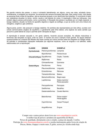 Na grande maioria dos peixes, o corpo é achatado lateralmente; em alguns, como nas raias, achatado dorso-
ventralmente, e protegido por escamas. As escamas são sempre formadas pela pele. Elas cariam muito, indo desde
as escamas finas e lisas do bacalhau, até as escamas grossas e com dentículos dos tubarões. O movimento é dado
por nadadeiras situadas no dorso, ventre, cauda e nas laterais do corpo. A respiração é feita por brânquias, mas
existem alguns peixes pulmonados, como a pirambóia. A flutuação dos peixes é auxiliada por um órgão especial, a
bexiga natatória, situado na frente do aparelho digestivo e ligado ao esôfago, e que se enche com uma mistura de
nitrogênio, oxigênio e gás carbônico.

Alguns peixe, porém, não possuem a bexiga natatória. Os sentidos são representados por dois olhos, ouvidos com
canais semicirculares (órgãos de equilíbrio), e geralmente pela linha lateral, uma espécie de sexto sentido que
percorre a parte lateral do corpo e permite sentir vibrações da água.

A reprodução é sempre sexuada e, em geral, externa, havendo poucas exceções. As células masculinas e
femininas são lançadas na água, onde se unem. O número de ovos é sempre muito grande. As águas estariam
superpovoadas se a maioria dos filhotes não fosse comida por outros animais antes de chegarem ao estágio adulto.
As grandes e complicadas migrações realizadas por algumas espécies, como as enguias e os salmões, estão
relacionadas com a reprodução.


                             CLASSE           ORDEM               EXEMPLO
                             Cyclostomata     Petromyzoniformes Lampreia
                                              Myxiniformes        Peixes-bruxa
                             Chondrichthyes Squaliformes          Cação, Tubarão
                                              Rajiformes          Raias
                                              Chimaeriformes      Quimeras
                             Osteichthyes     Perciformes         Perca
                                              Pleuronectiformes   Linguado
                                              Echeniformes        Rêmoras
                                              Tetraodontiformes   Baiacu
                                              Batrachoidiformes   Bagre-sapo
                                              Lophiformes         Diabo-marinho/
                                                                  Peixe-pescador

                                              Percopsiformes      Percopsis
                                              Gadiformes          Bacalhau
                                              Gasterosteiformes   Cavalo Marinho


                                              Beloniformes        Peixe-voador/
                                                                  Peixe-agulha

                                              Cypriniformes       Carpa/ Poraquê


                                              Anguilliformes      Enguia



                    Compre este e outros peixes deste livro em www.amordepeixe.com.br.
                         A melhor loja de peixes e produtos de aquariofilia do Brasil.
                 Peixes de qualidade, diretamente com o criador, a preço de atacado. Confira.
        Participe do www.forumamordepeixe.com.br e receba inteiramente grátis livros de criação de
                 Discus, Bettas, Guppys e muito mais, É grátis, acesse já e receba ainda hoje.
 