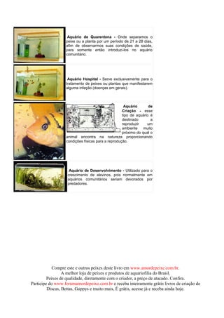 Aquário de Quarentena - Onde separamos o
                  peixe ou a planta por um período de 21 a 28 dias,
                  afim de observarmos suas condições de saúde,
                  para somente então introduzi-los no aquário
                  comunitário.




                   Aquário Hospital - Serve exclusivamente para o
                  tratamento de peixes ou plantas que manifestarem
                  alguma infeção (doenças em gerais).



                                                    Aquário       de
                                                   Criação - esse
                                                   tipo de aquário é
                                                   destinado       a
                                                   reproduzir    um
                                                   ambiente    muito
                                                   próximo do qual o
                  animal encontra na natureza proporcionando
                  condições físicas para a reprodução.




                    Aquário de Desenvolvimento - Utilizado para o
                   crescimento de alevinos, pois normalmente em
                   aquários comunitários seriam devorados por
                   predadores.




            Compre este e outros peixes deste livro em www.amordepeixe.com.br.
                 A melhor loja de peixes e produtos de aquariofilia do Brasil.
         Peixes de qualidade, diretamente com o criador, a preço de atacado. Confira.
Participe do www.forumamordepeixe.com.br e receba inteiramente grátis livros de criação de
         Discus, Bettas, Guppys e muito mais, É grátis, acesse já e receba ainda hoje.
 