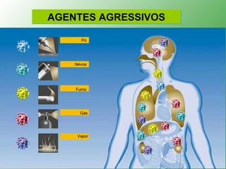 AGENTES AGRESSIVOS

      Pó




    Névoa




    Fumo




      Gás




     Vapor
 