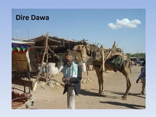 Dire Dawa
 