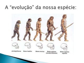 A “evolução” da nossa espécie: