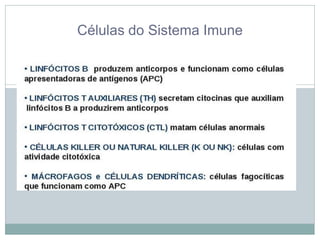 Células do Sistema Imune
 