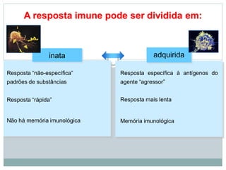 A resposta imune pode ser dividida em:
inata adquirida
Resposta “não-específica”
padrões de substâncias
Resposta “rápida”
Não há memória imunológica
Resposta específica à antígenos do
agente “agressor”
Resposta mais lenta
Memória imunológica
 