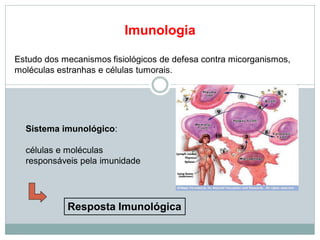 Imunologia
Estudo dos mecanismos fisiológicos de defesa contra micorganismos,
moléculas estranhas e células tumorais.
Sistema imunológico:
células e moléculas
responsáveis pela imunidade
Resposta Imunológica
 
