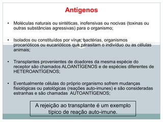 Antígenos
• Moléculas naturais ou sintéticas, inofensivas ou nocivas (toxinas ou
outras substâncias agressivas) para o organismo;
• Isolados ou constituídos por vírus, bactérias, organismos
procarióticos ou eucarióticos que parasitam o indivíduo ou as células
animais;
• Transplantes provenientes de doadores da mesma espécie do
receptor são chamados ALOANTÍGENOS e de espécies diferentes de
HETEROANTÍGENOS;
• Eventualmente células do próprio organismo sofrem mudanças
fisiológicas ou patológicas (reações auto-imunes) e são consideradas
estranhas e são chamadas AUTOANTÍGENOS;
A rejeição ao transplante é um exemplo
típico de reação auto-imune.
 
