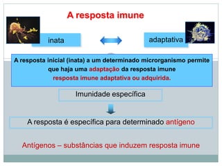 A resposta imune
inata adaptativa
A resposta inicial (inata) a um determinado microrganismo permite
que haja uma adaptação da resposta imune
resposta imune adaptativa ou adquirida.
Imunidade específica
A resposta é específica para determinado antígeno
Antígenos – substâncias que induzem resposta imune
 