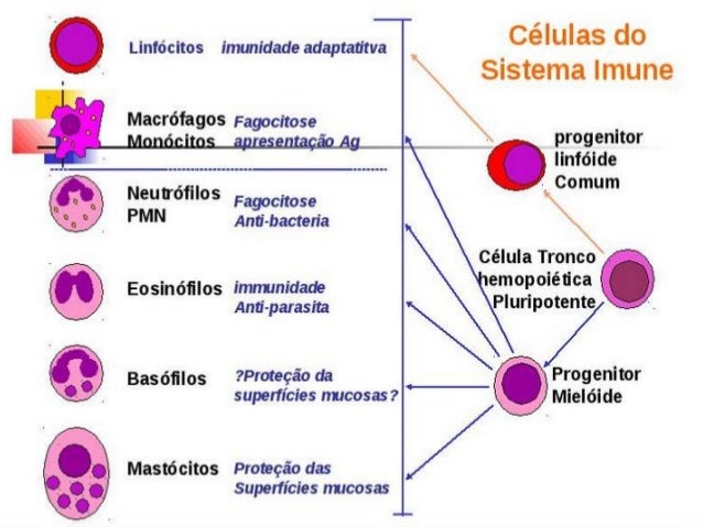 Introdução à Imunologia