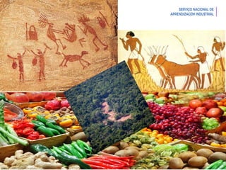 Introdução à Logística
 