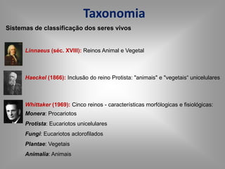  Atividades bioquímicas