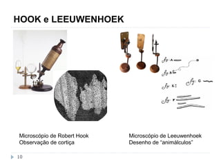 HOOK e LEEUWENHOEK 
Microscópio de Robert Hook 
Observação de cortiça 
10 
Microscópio de Leeuwenhoek 
Desenho de “animálculos” 
 