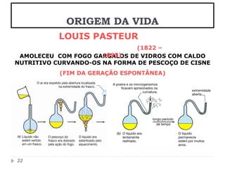 AMOLECEU COM FOGO GARGALOS DE VIDROS COM CALDO 
NUTRITIVO CURVANDO-OS NA FORMA DE PESCOÇO DE CISNE 
(FIM DA GERAÇÃO ESPONTÂNEA) 
22 
ORIGEM DA VIDA 
LOUIS PASTEUR 
(1822 – 
1895) 
 