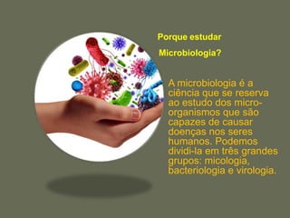Microbiologia: O Que Estuda, Como Surgiu, Áreas – PING