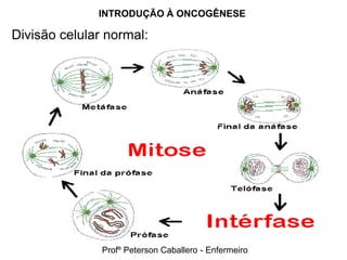 INTRODUÇÃO À ONCOGÊNESE

Divisão celular normal:




               Profº Peterson Caballero - Enfermeiro
 