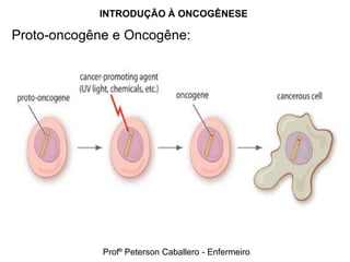 INTRODUÇÃO À ONCOGÊNESE

Proto-oncogêne e Oncogêne:




             Profº Peterson Caballero - Enfermeiro
 