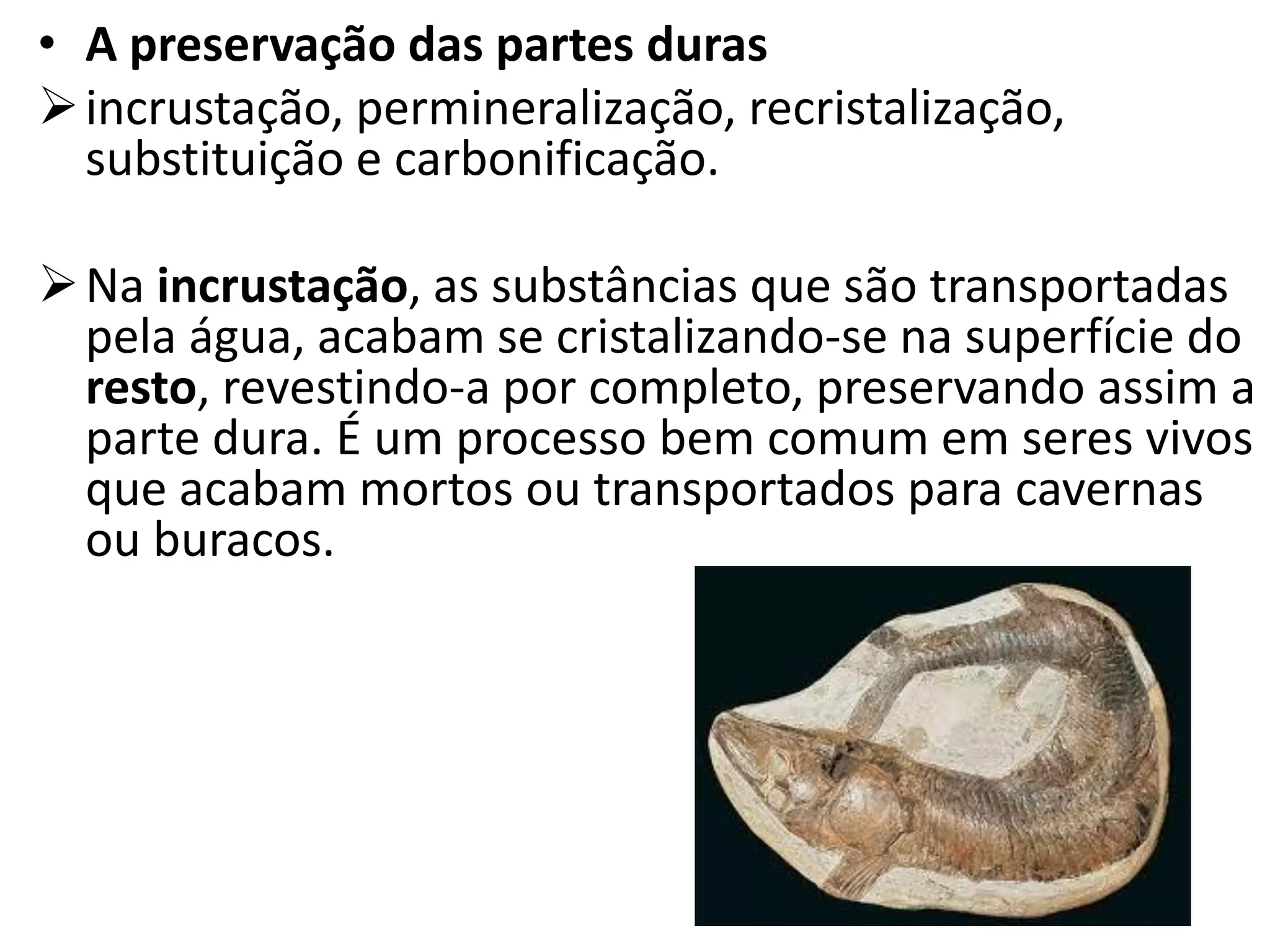 • A preservação das partes duras
incrustação, permineralização, recristalização,
substituição e carbonificação.
Na incrustação, as substâncias que são transportadas
pela água, acabam se cristalizando-se na superfície do
resto, revestindo-a por completo, preservando assim a
parte dura. É um processo bem comum em seres vivos
que acabam mortos ou transportados para cavernas
ou buracos.
 