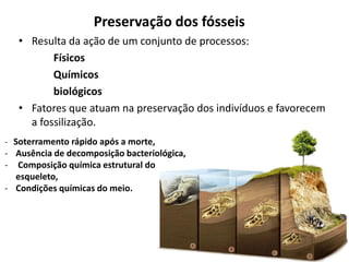 Preservação dos fósseis
• Resulta da ação de um conjunto de processos:
Físicos
Químicos
biológicos
• Fatores que atuam na preservação dos indivíduos e favorecem
a fossilização.
- Soterramento rápido após a morte,
- Ausência de decomposição bacteriológica,
- Composição química estrutural do
esqueleto,
- Condições químicas do meio.
 