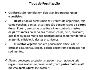 Tipos de Fossilização
• Os fósseis são reunidos em dois grandes grupos: restos
e vestígios.
 Restos: são as partes mais resistentes do organismo, tais
como conchas, dentes, ossos que são denominados de partes
duras. Porém, em certas ocasiões são encontradas restos
de partes moles preservadas como vísceras, pele, músculos,
que têm ajudado muito aos cientistas para compreenderem a
anatomia e fisiologia destes organismos.
 Os restos vegetais são um pouco mais difíceis de se
estudar pois, folhas, caules, polens encontram separados nos
sedimentos.
 Alguns processos excepcionais podem ocorrer, onde tais
organismos acabam se preservando, com partes moles e até
mesmo partes duras (se possuir).
 