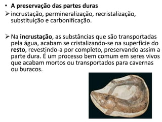 • A preservação das partes duras
incrustação, permineralização, recristalização,
substituição e carbonificação.
Na incrustação, as substâncias que são transportadas
pela água, acabam se cristalizando-se na superfície do
resto, revestindo-a por completo, preservando assim a
parte dura. É um processo bem comum em seres vivos
que acabam mortos ou transportados para cavernas
ou buracos.
 