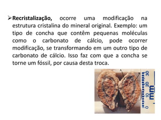 Recristalização, ocorre uma modificação na
estrutura cristalina do mineral original. Exemplo: um
tipo de concha que contêm pequenas moléculas
como o carbonato de cálcio, pode ocorrer
modificação, se transformando em um outro tipo de
carbonato de cálcio. Isso faz com que a concha se
torne um fóssil, por causa desta troca.
 