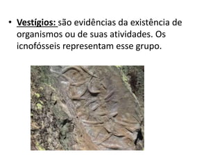 • Vestígios: são evidências da existência de
organismos ou de suas atividades. Os
icnofósseis representam esse grupo.
 