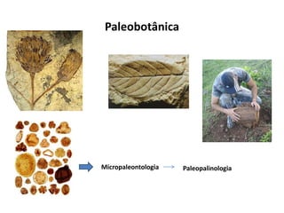 Paleobotânica
Micropaleontologia Paleopalinologia
 