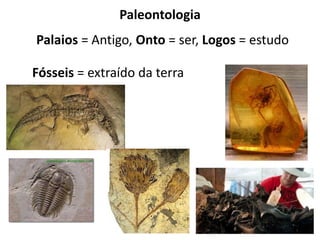 Paleontologia
Palaios = Antigo, Onto = ser, Logos = estudo
Fósseis = extraído da terra
 
