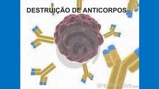 DESTRUIÇÃO DE ANTICORPOS
 